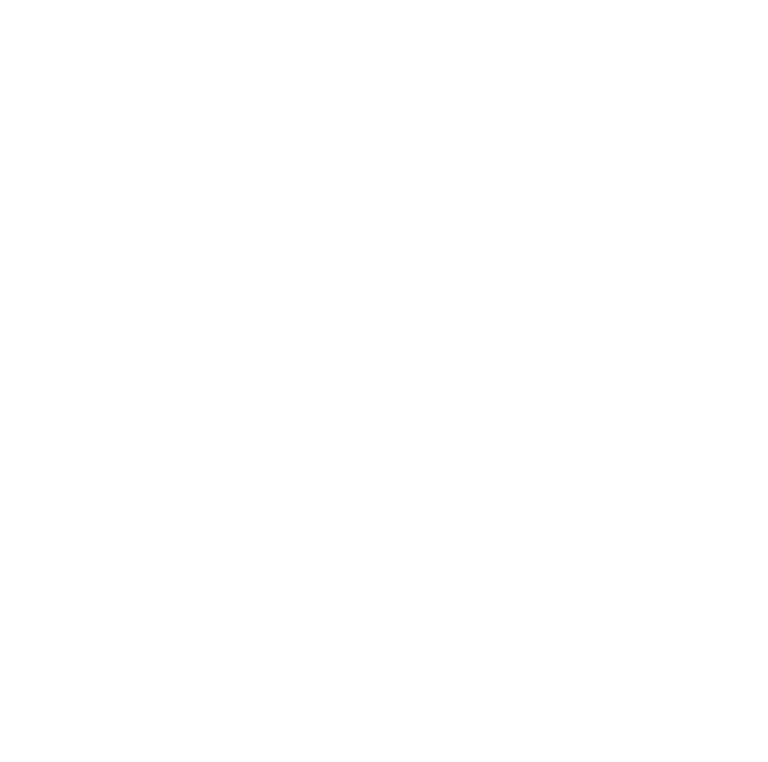 Decorative circle graphic